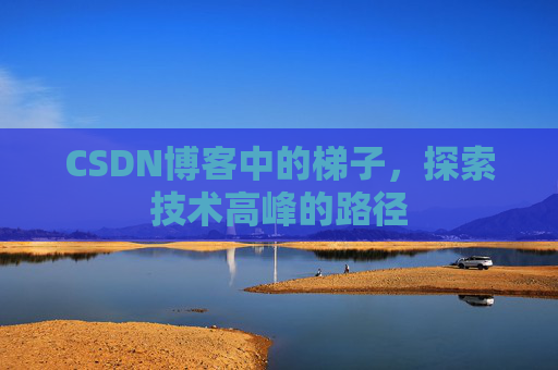 CSDN博客中的梯子，探索技术高峰的路径